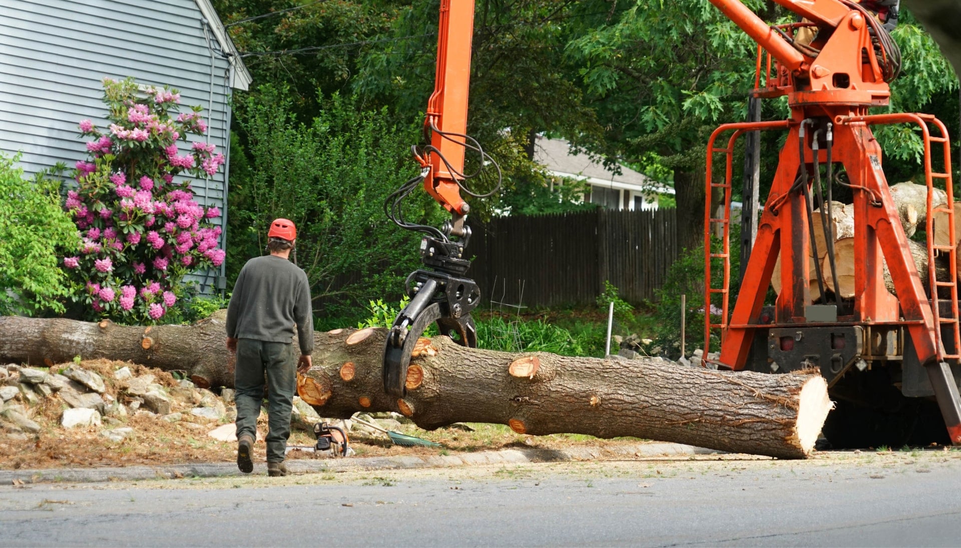 Heavy machinery is used to remove a tree after cutting in Milwaukee, WI.