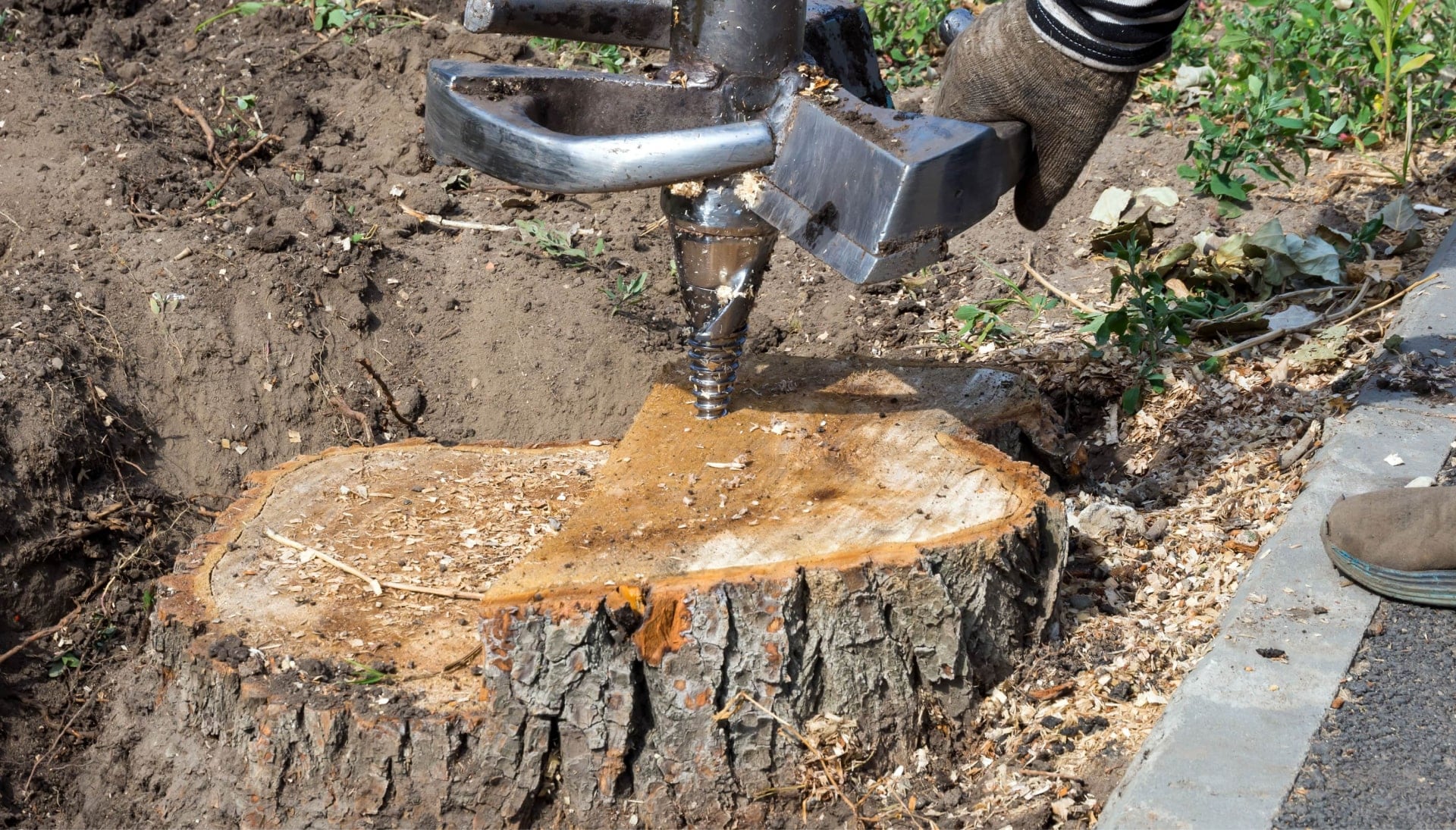 A stump grinding machines makes the job easier during tree removal services on a Milwaukee, WI property.